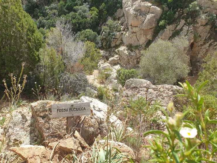 4giardinaggio4