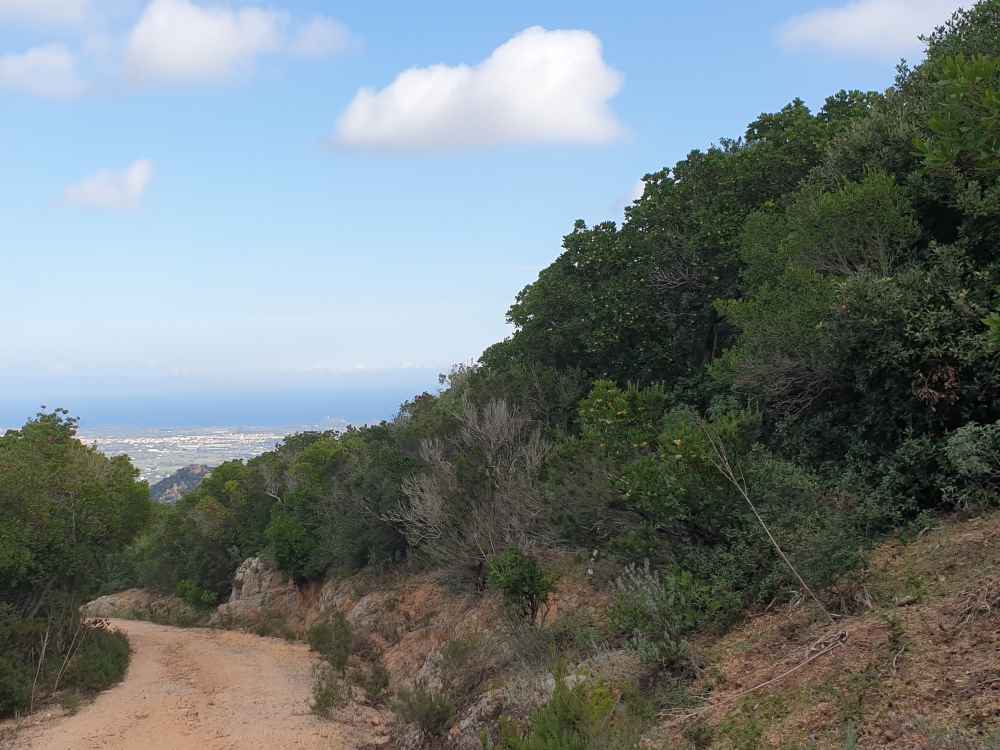 Montesale5