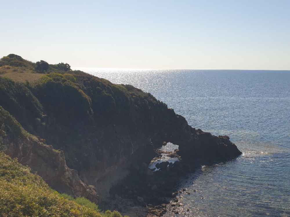 guventeddu1