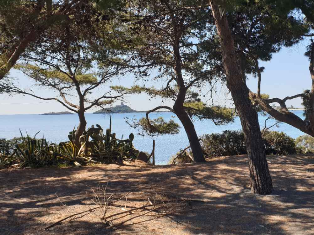 guventeddu5