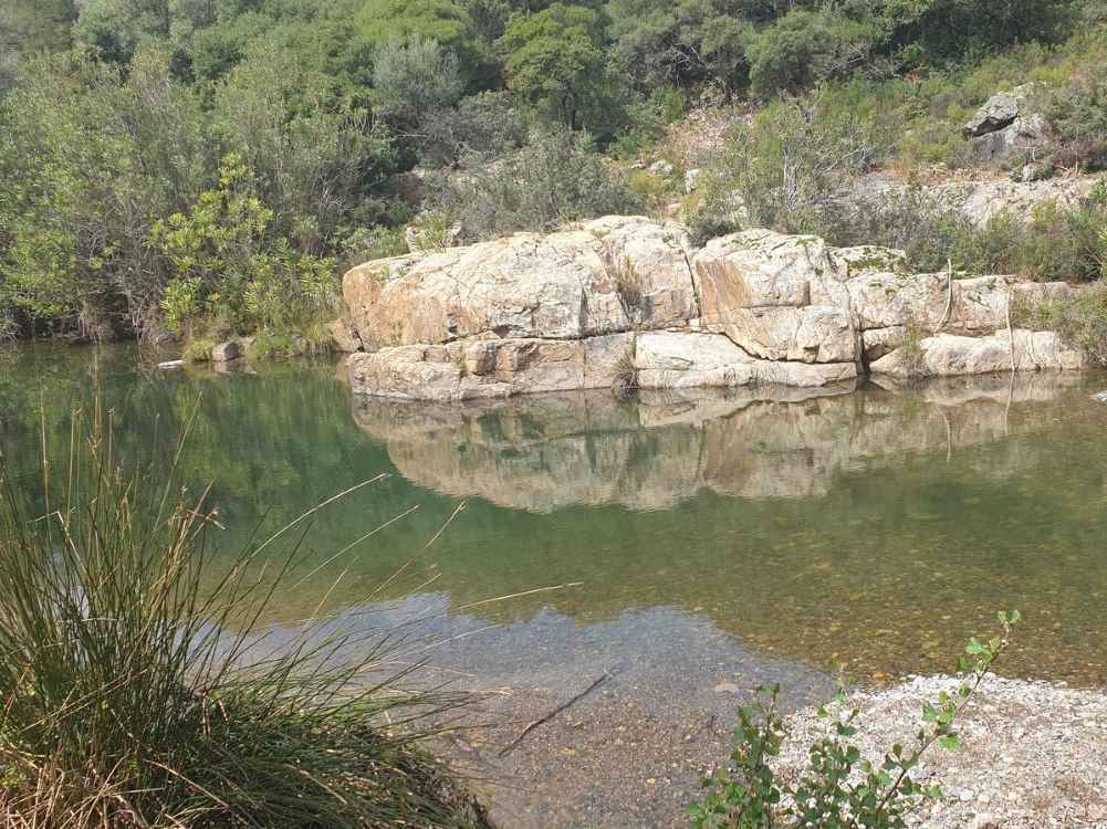 lilloni4