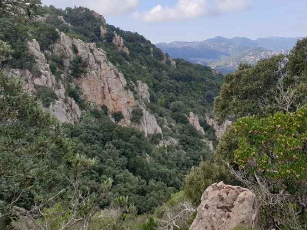 montesale6