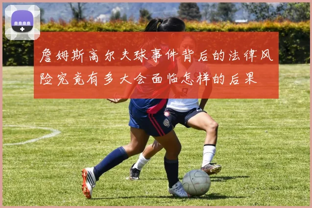 詹姆斯高尔夫球事件背后的法律风险究竟有多大会面临怎样的后果