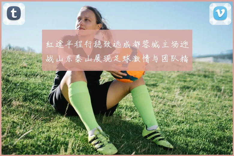 红途半程行稳致远成都蓉城主场迎战山东泰山展现足球激情与团队精神