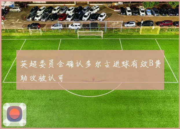 英超委员会确认多尔古进球有效B费助攻被认可